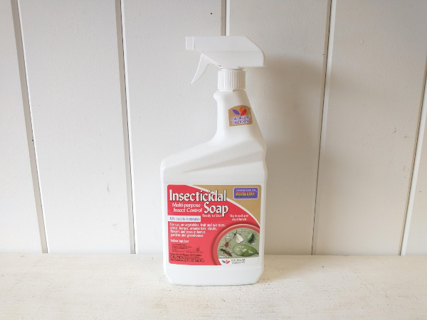 Bonide Insecticidal Soap RTU 32 (oz)