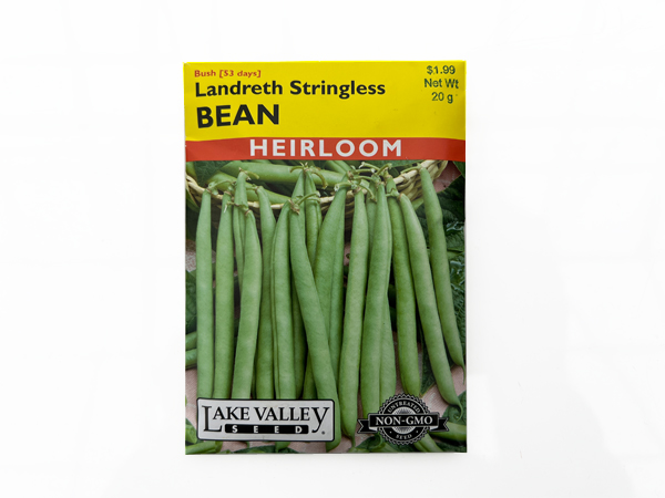 Bean (Bush) Landreth Stringless Seed