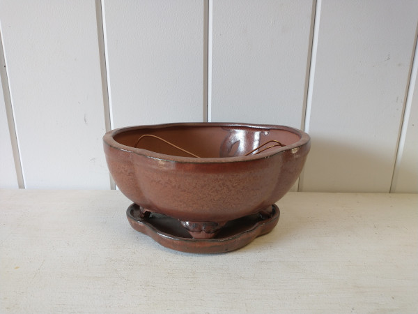 8" Bonsai Pro Assortment w/Saucer