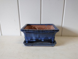 6&quot; Bonsai Pro Assortment w/Saucer