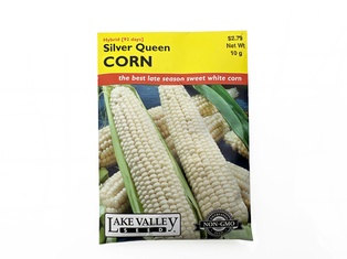 Corn Sweet Silver Queen Hybrid Seed