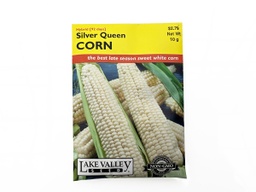 [GC-LVS343] Corn Sweet Silver Queen Hybrid Seed