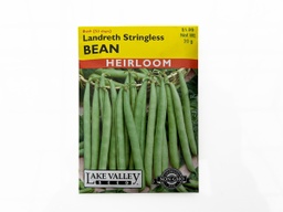[GC-LVS1975] Bean (Bush) Landreth Stringless Seed