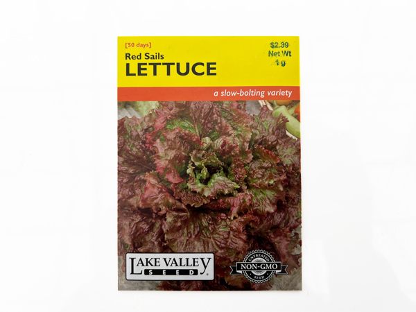 Lettuce Red Sails