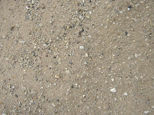 Torpedo Sand