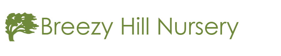 Shop | Breezy Hill Nursery - Garden Center